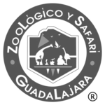 Zoológico de Guadalajara